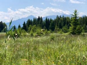 Gennachblick 1 Ferienhaus im Allgäu