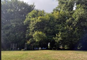 Chalets Chalet charmant a Saint-Sylvestre avec jardin 32 m² : photos des chambres
