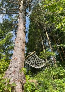 Designer Riverfront Cottage