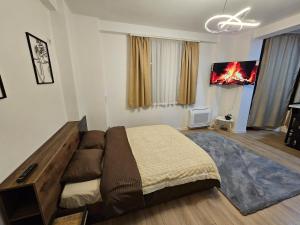 Tranquil Studio Apartment