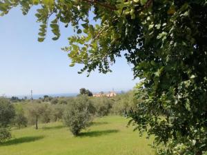 Il Casale il Sole e la Margherita