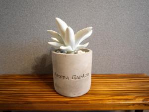 Cozy Vintage Studio Asakusa Skytree Ueno Akihabara