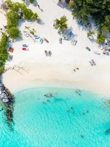 Pavona Maldives - Makunudhoo