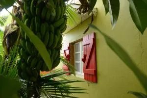 Petite case créole de charme en centre-ville de Saint-Pierre - 圣皮埃尔