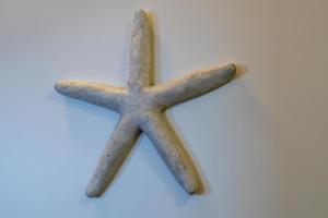 Ferienwohnung Seestern