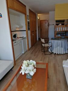 Estudio a pie de pista en Sierra Nevada