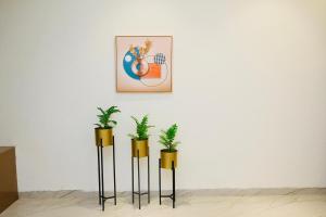 Trisaa Resort & Banquets