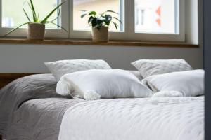 Modern Studio For Two