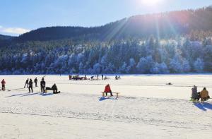 Wellness- HotTub & Sauna- Pet Friendly- Hiking