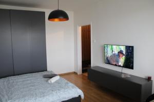 Peaceful relaxation apartment - free parking