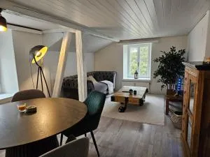 Attic apartment with private terrace - 瓦伦施塔特