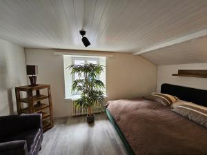Attic apartment with private terrace