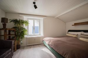 Attic apartment with private terrace