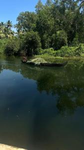 Dhyan Village Retreat