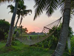 Dhyan Village Retreat