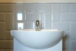 The Willow - Studio 22