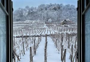 NemCsuri Vendegház Somló