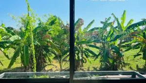 banana tree view studio flat with bathtub in heart of Phuket - Ban Bo Rae