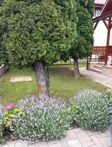 Little House with Garden Siófok