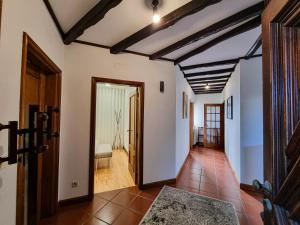 Casa Cogumelo Beachfront Retreat