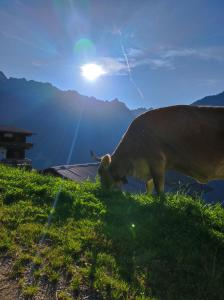 Alpenchalet Lengau