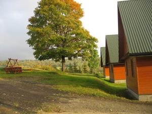 Całoroczne Domki Zacisze Hnatowego Berda w Wetlinie