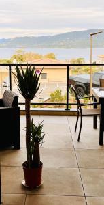 Appartements Superbe T3 vue mer : photos des chambres