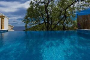 Calming Area Villa with Infinity Pool