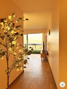Appartements Le Pop Art- - Terrasse Great Sea View and Parking : photos des chambres