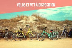 Maisons de vacances La Maison Bleue : photos des chambres