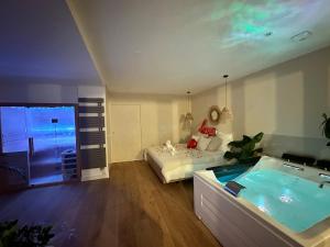 Appartements L Anaya Nantes Spa et Sauna : photos des chambres