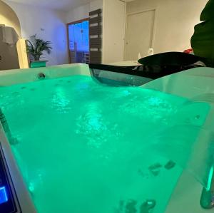 Appartements L Anaya Nantes Spa et Sauna : photos des chambres