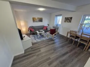 Doppelhaushälfte Thora - Niesgrau