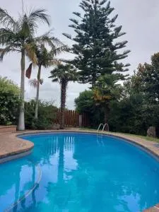 Sanctuary 4 - Greerton