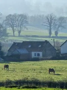 Gîte d'Artisan - Vergheas