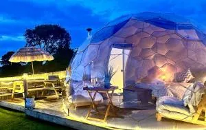 Deerstone Glamping-Ingleborough hill dome-Hot Tub - 吉斯本