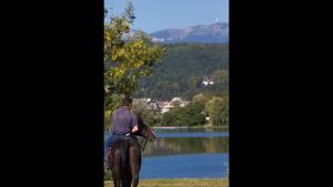 Appartements Wonderful La Villa du Lac - One Bedroom, 4 people : photos des chambres