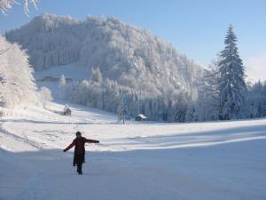 Salzkammergut, a place to enjoy