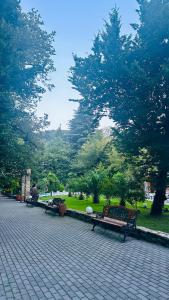 Wald Hotel Lagodekhi Rooms