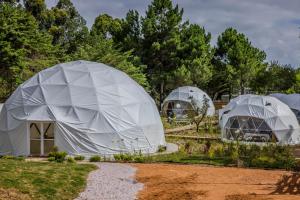 Hotel La Perla Domos