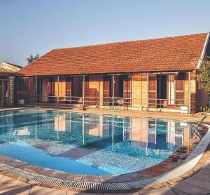 SEAHORSE healing effect