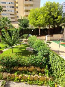 Apartamento Benidorm, Parking Incluido