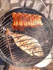 Ocean Camper - Campervan & Surf rentals