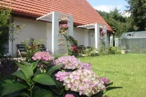 Przystanek Dzika Dolina - 隆代克-兹德鲁伊