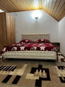 Insieme - Vadu Moţilor