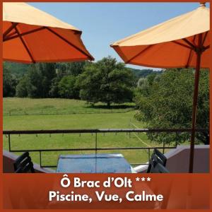 Appartements O BRAC d-Olt, piscine, calme, vue, aux portes de l-Aubrac : photos des chambres