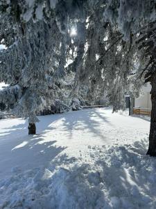 Sunčani Vrhovi Lux planina Golija