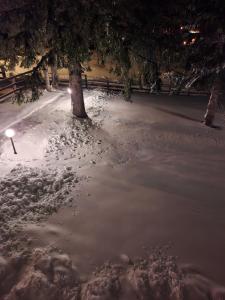 Sunčani Vrhovi Lux planina Golija