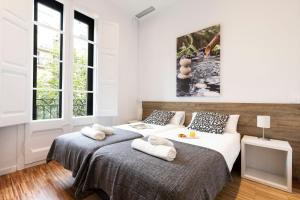 2905 - AB Comte dUrgell I-II