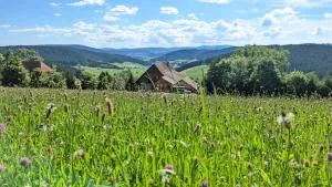 Haberjockelshof Erlebnishof - Bubenbach
